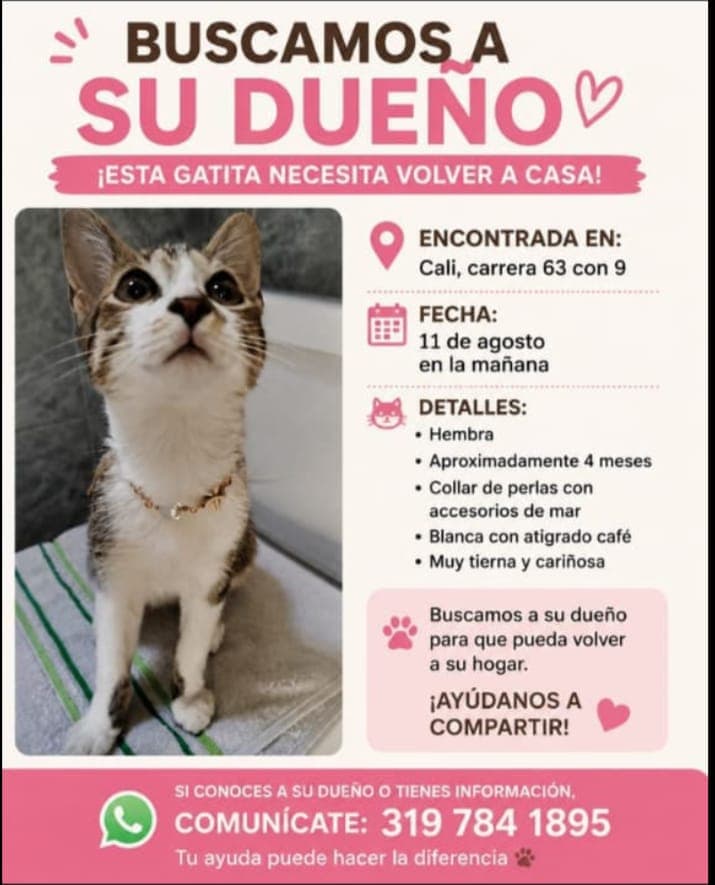 CRA 63 CON 9 · Gato blanca