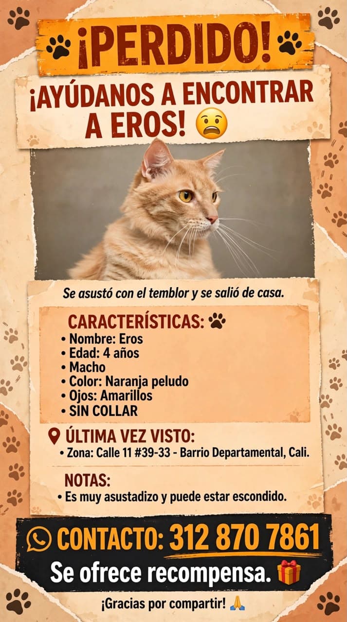 Eros · Gato naranja peludo