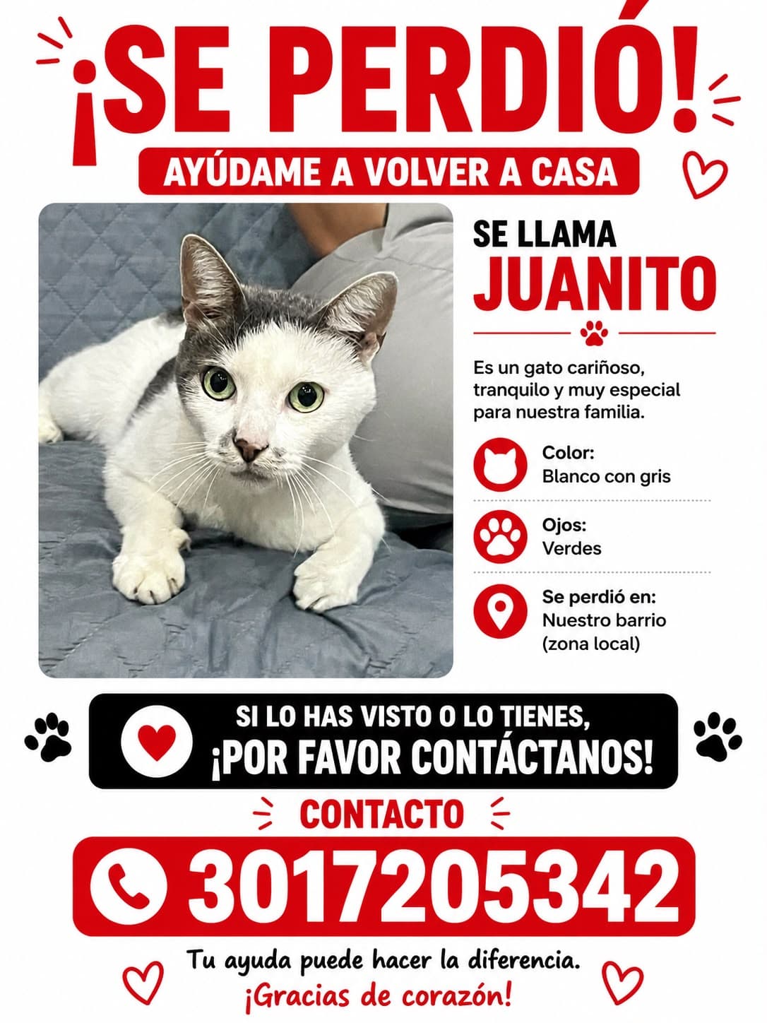 JUANITO · Gato blanco