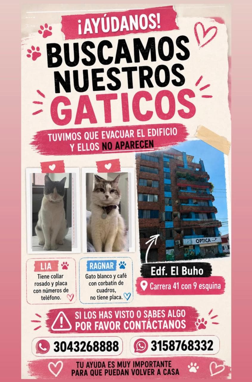 LIA, RAGNAR · Gato blanco