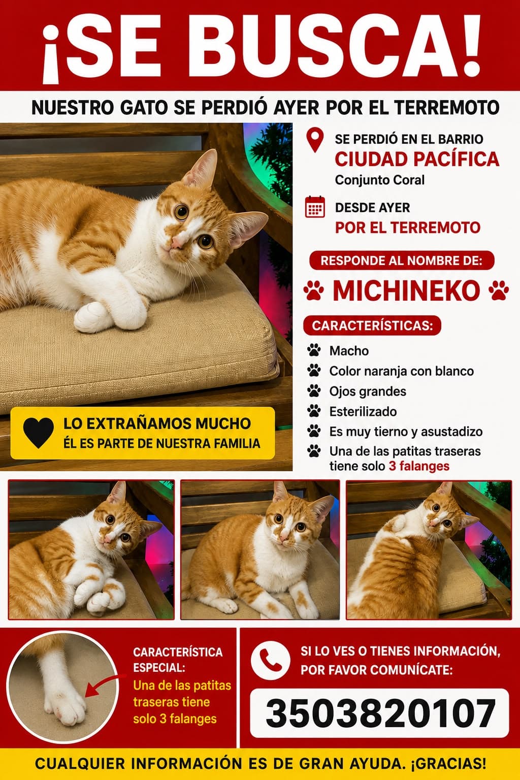 MICHINEKO · Gato naranja