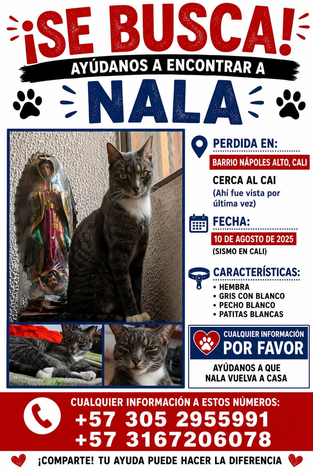 NALA · Gato gris