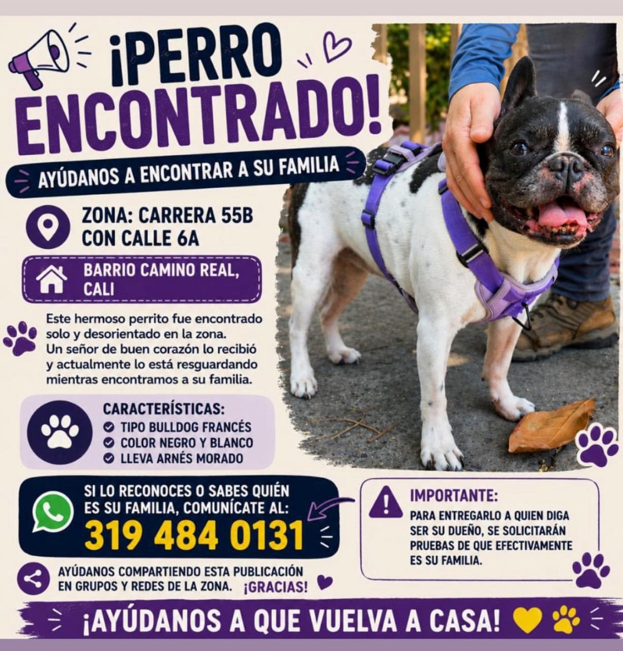 BARRIO CAMINO REAL · Perro negro y blanco, bulldog francés