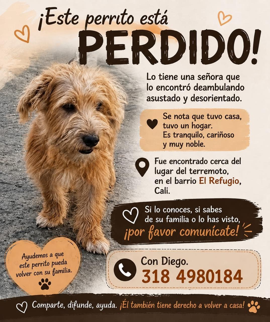 FUE ENCONTRADO EN EL BARRIO EL REFUGIO · Perro marrón claro