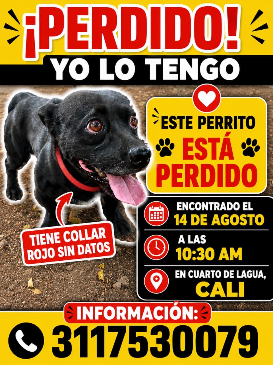 SE ENCUENTRA EN CUARTO DE LEGUA · Perro negro