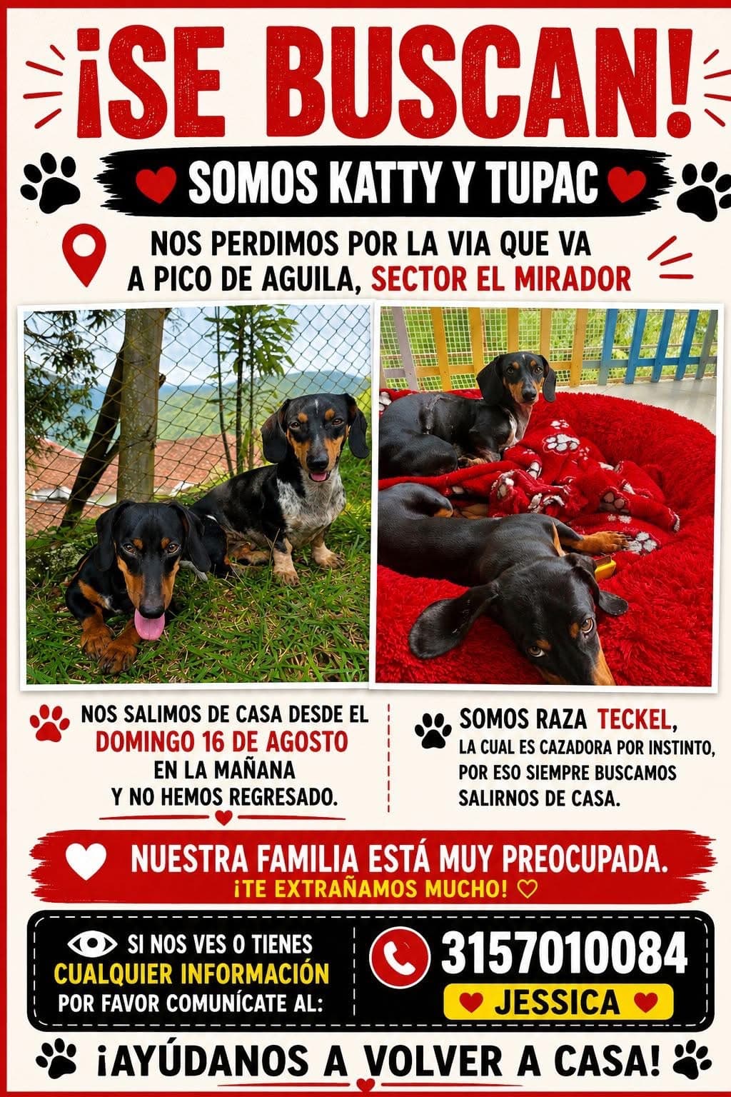 KATTY Y TUPAC · Perro negro, teckel