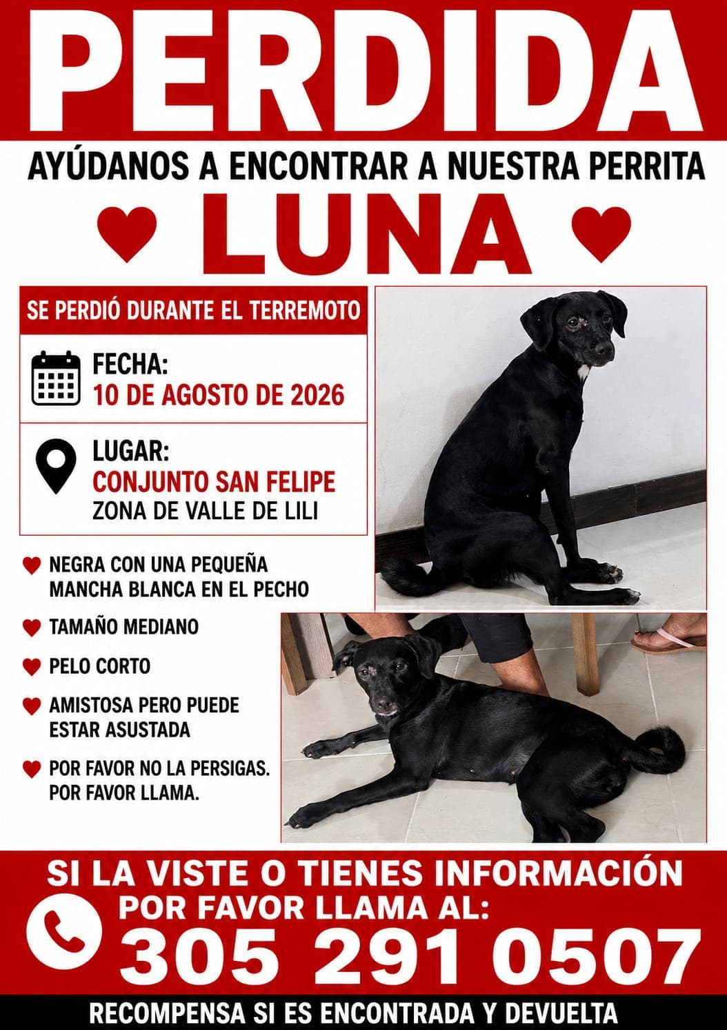 LUNA · Perro mediano, negra