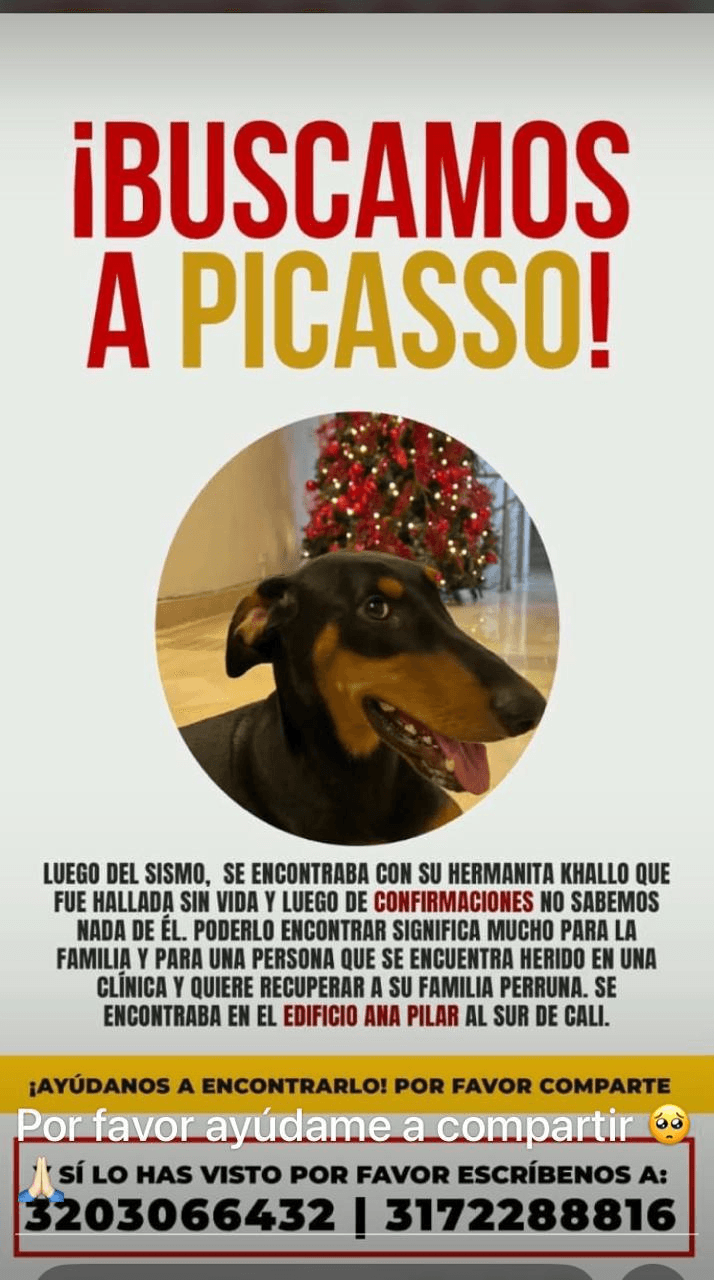 Picasso · Perro negro, doberman