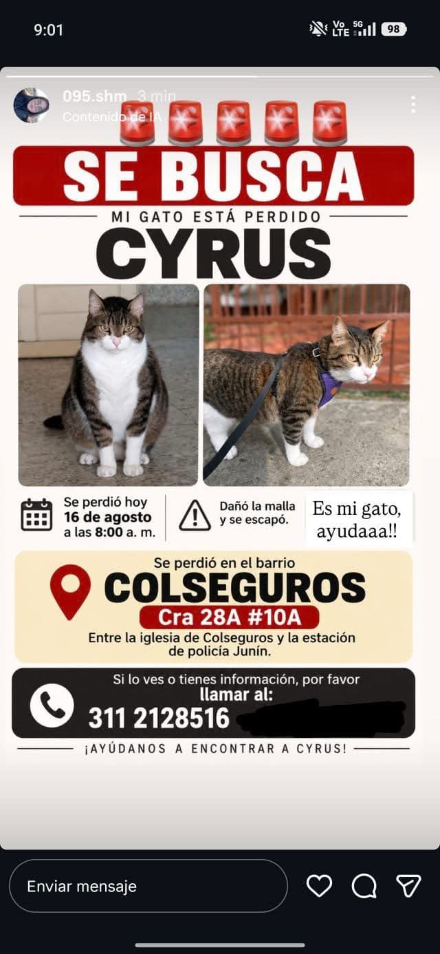 CYRUS · Gato blanco