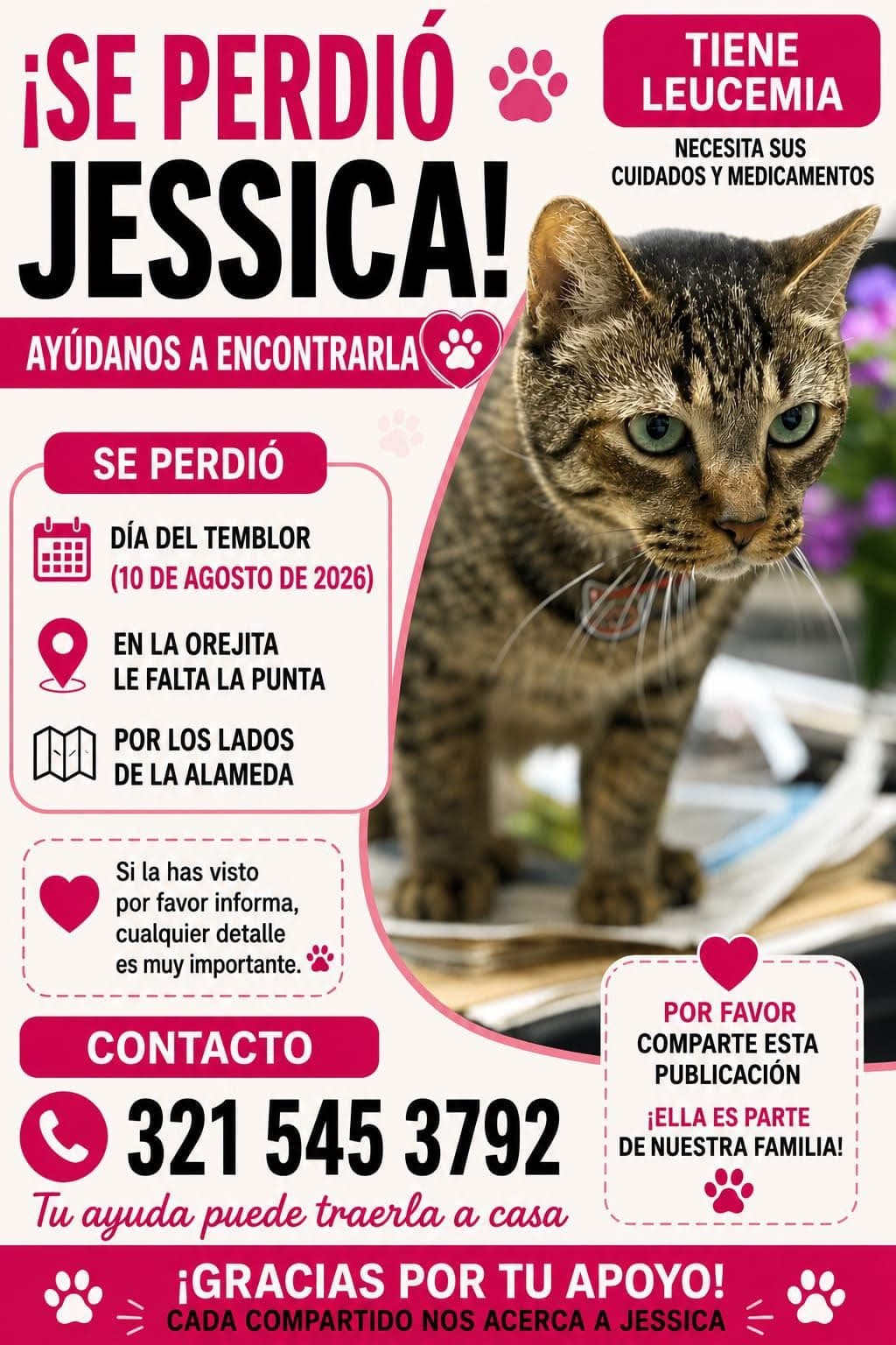 JESSICA · Gato atigrado