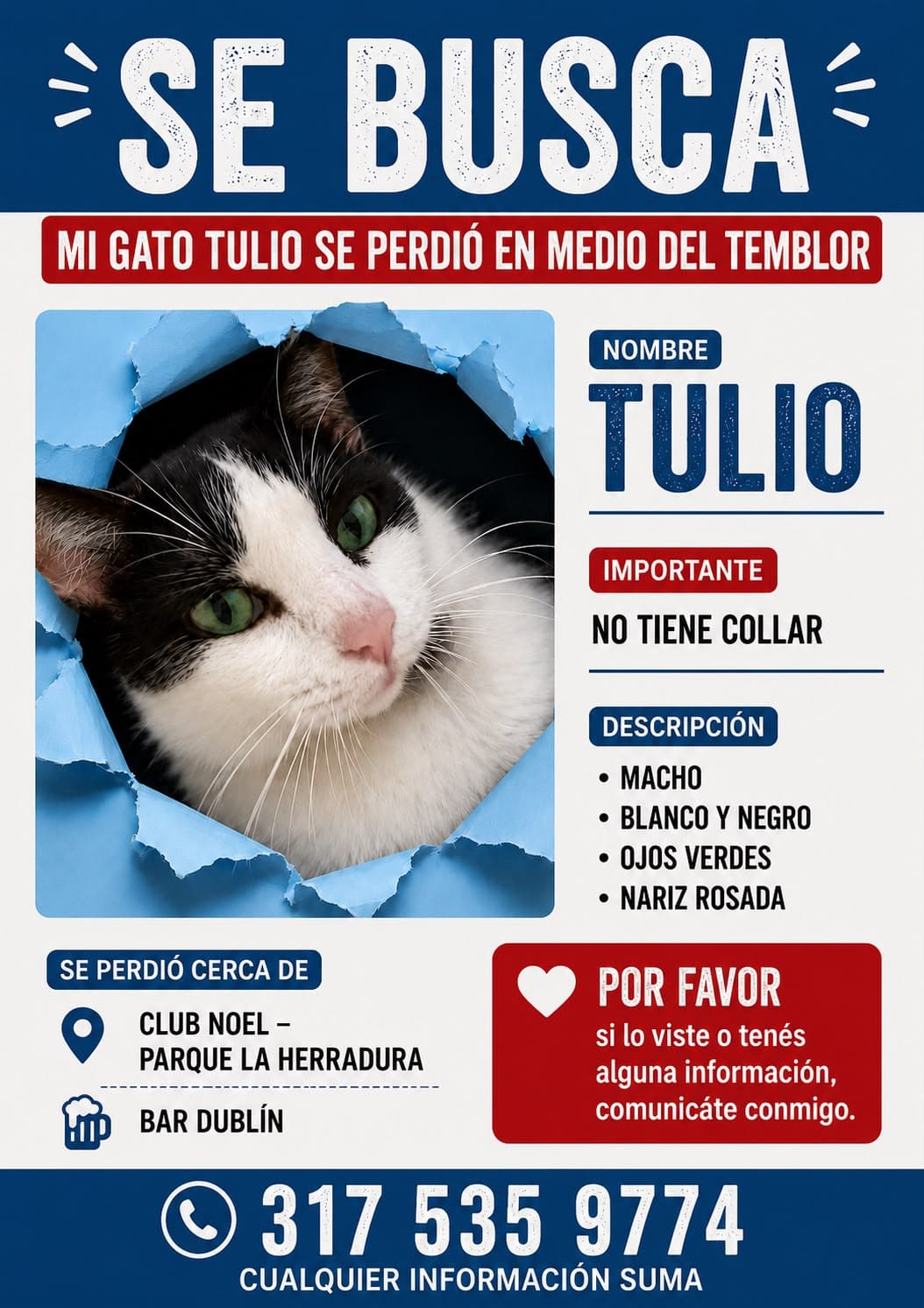 TULIO · Gato blanco