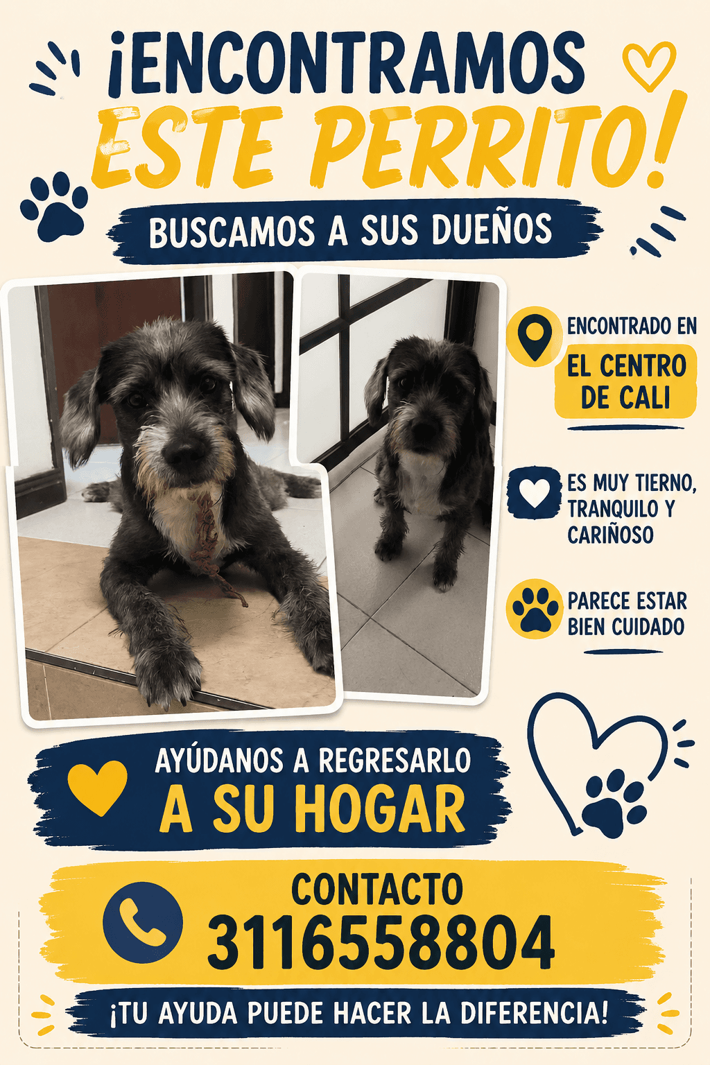 CENTRO · Perro gris