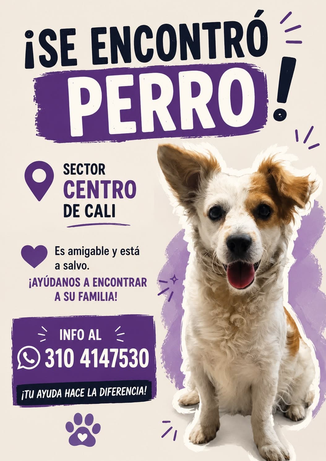 SE ENCONTRÓ PERRITO EN EL SECTOR CENTRO DE CALI · Perro blanco