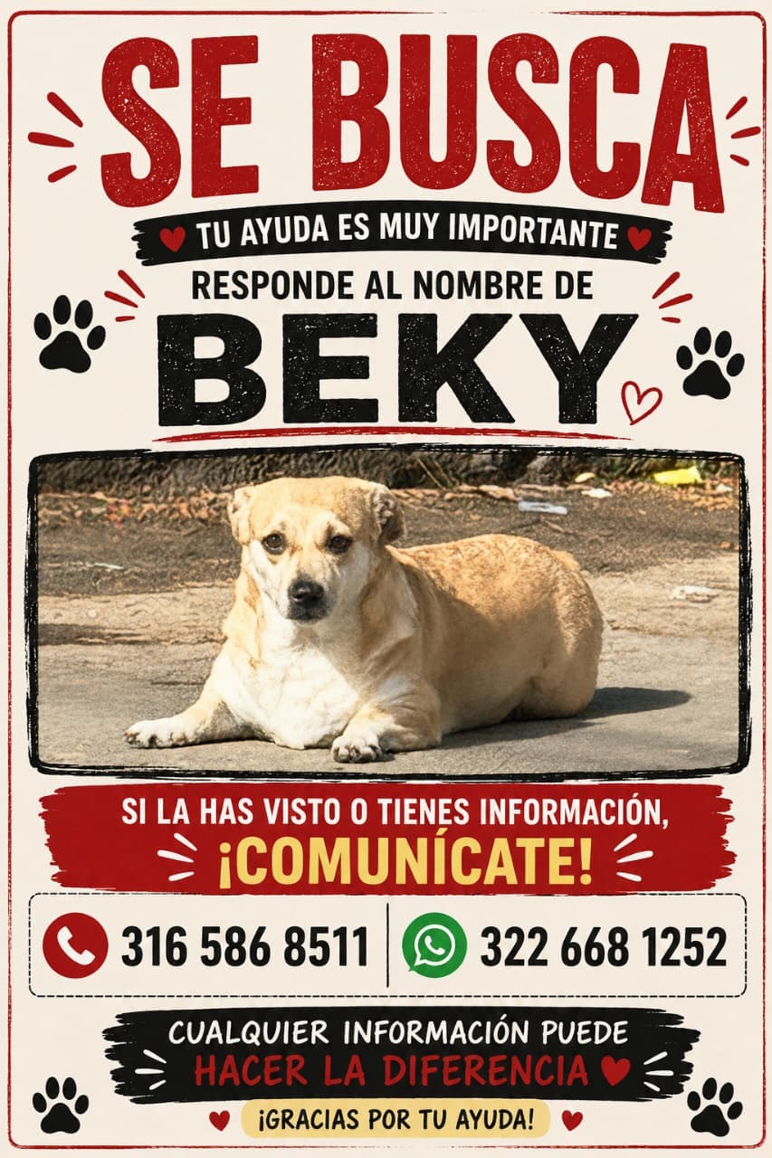 BEKY · Perro beige