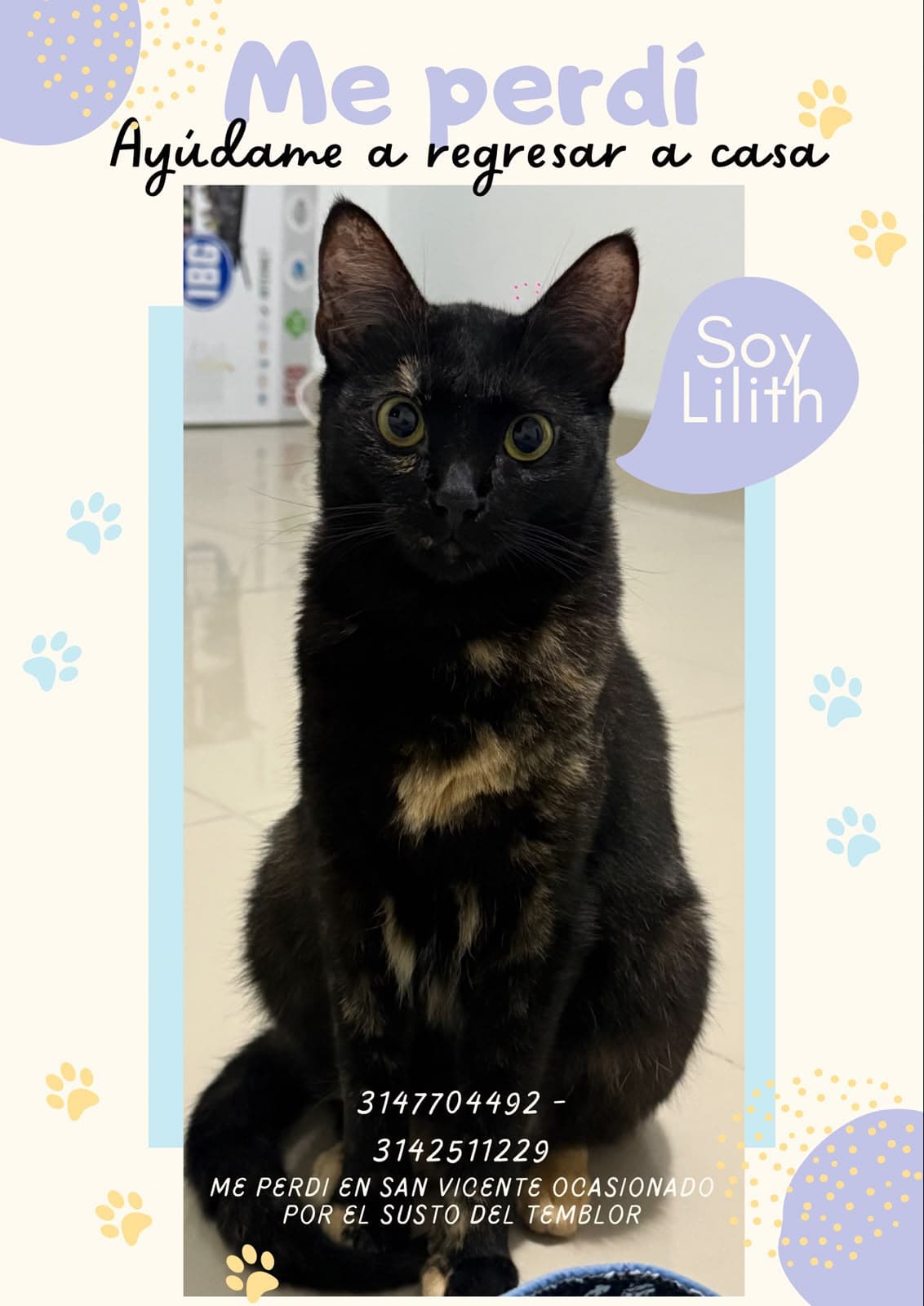 Lilith · Gato negro