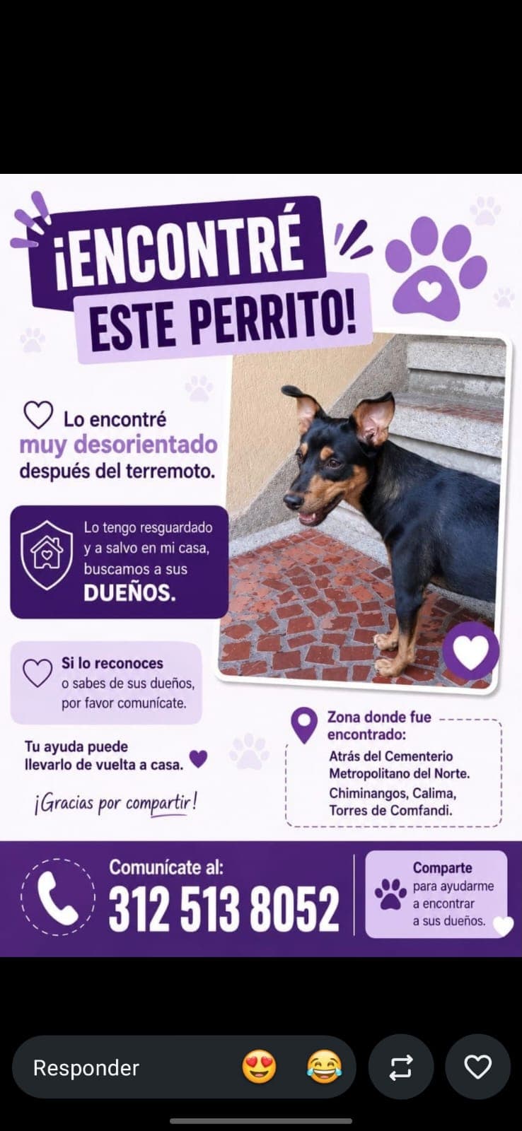 METROPOLITANO DEL NORTE · Perro negro