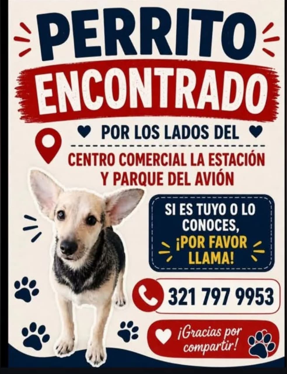 POR CENTRO COMERCIAL LA ESTACIÓN Y PARQUE DEL AVIÓN_ · Perro pequeño, marrón