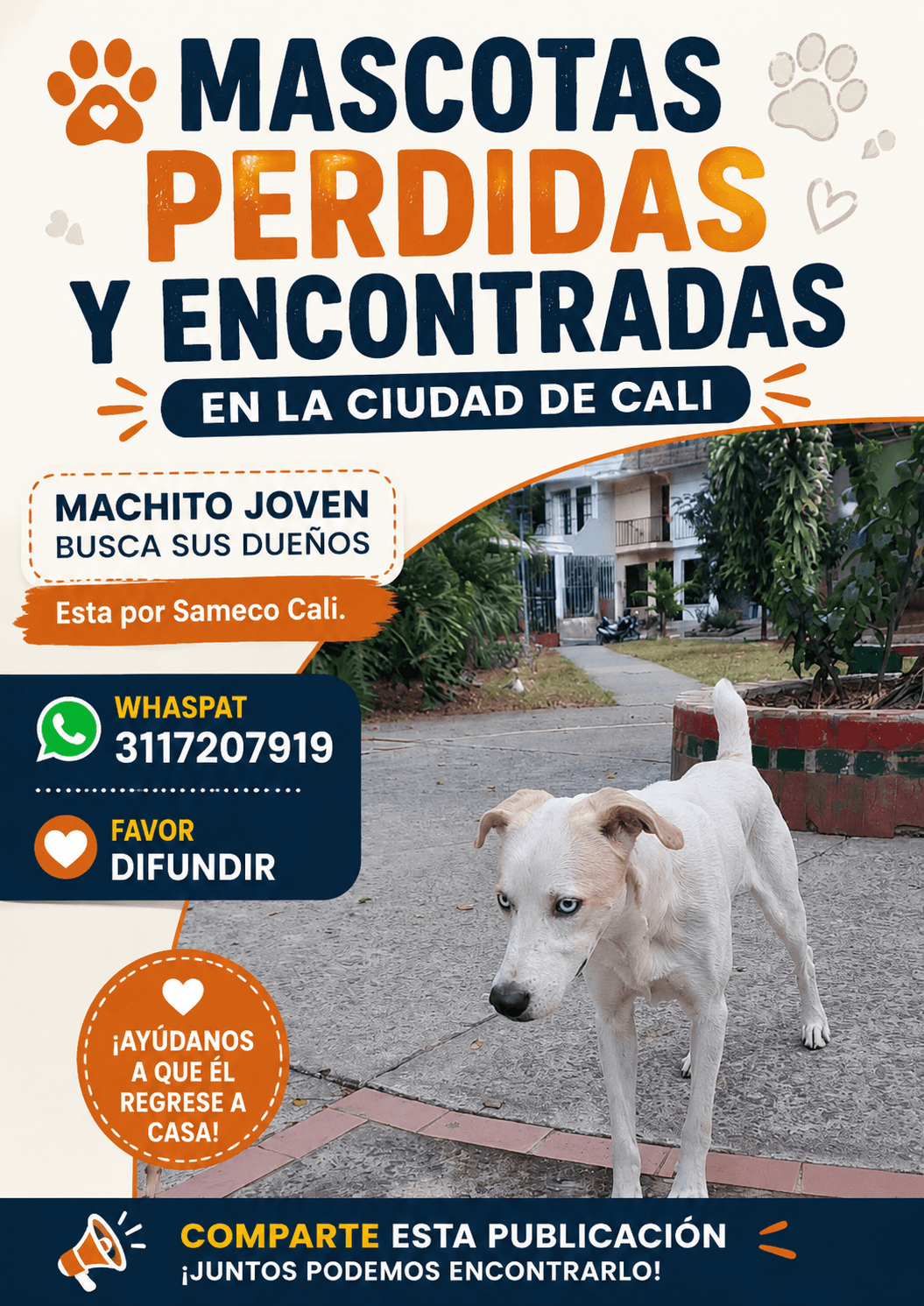 SAMECO · Perro blanco