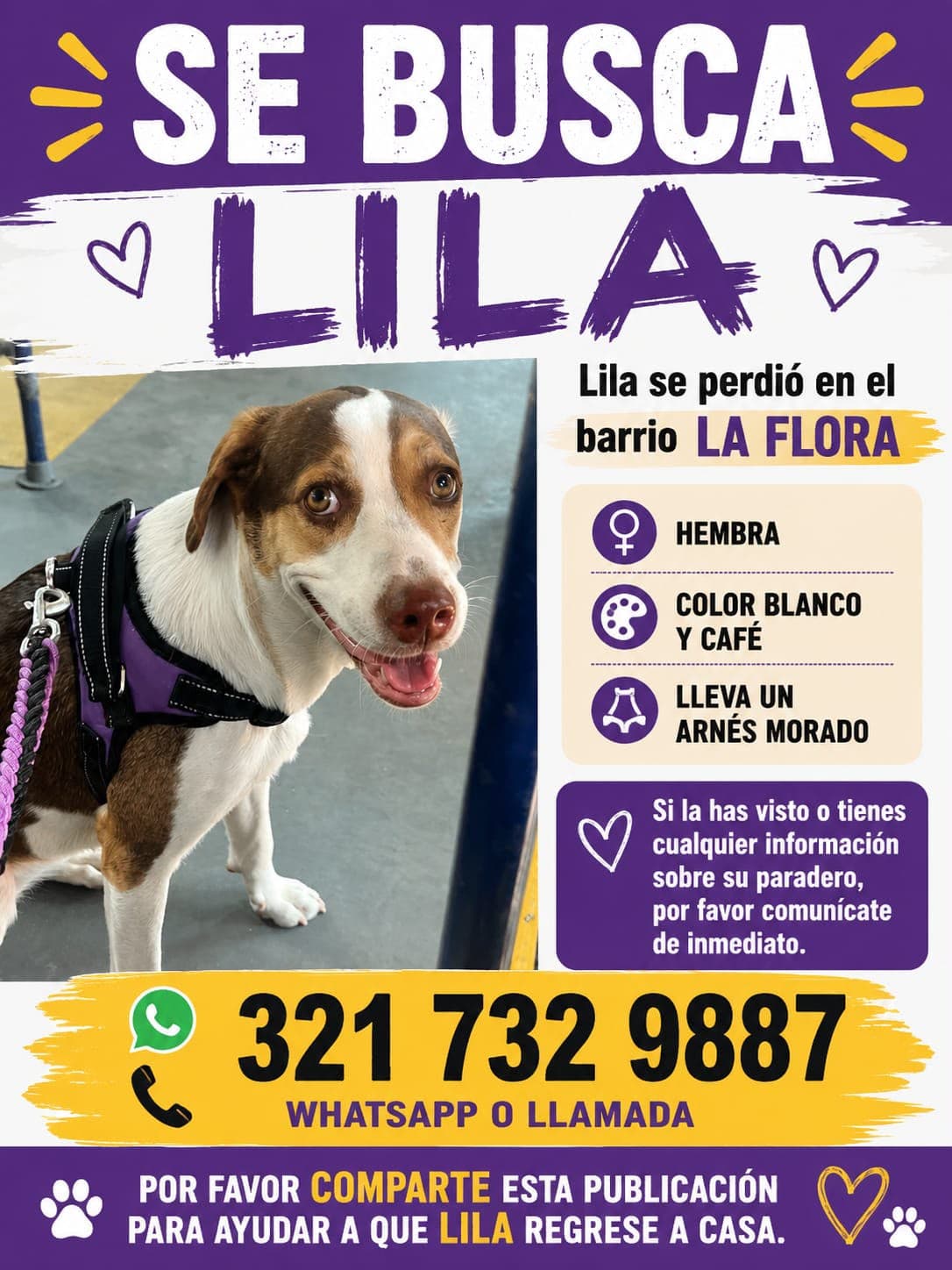 LILA · Perro blanco