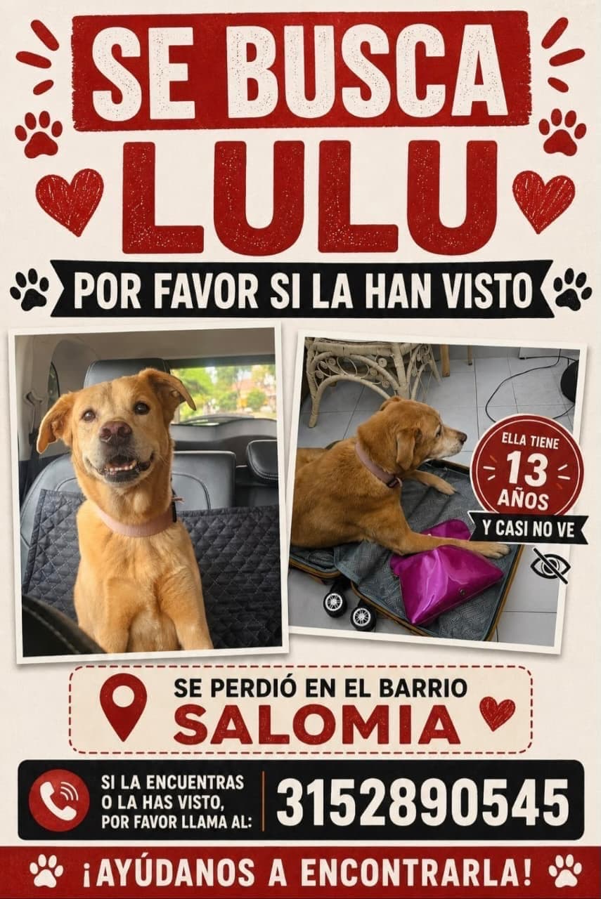 Lulu · Perro dorado