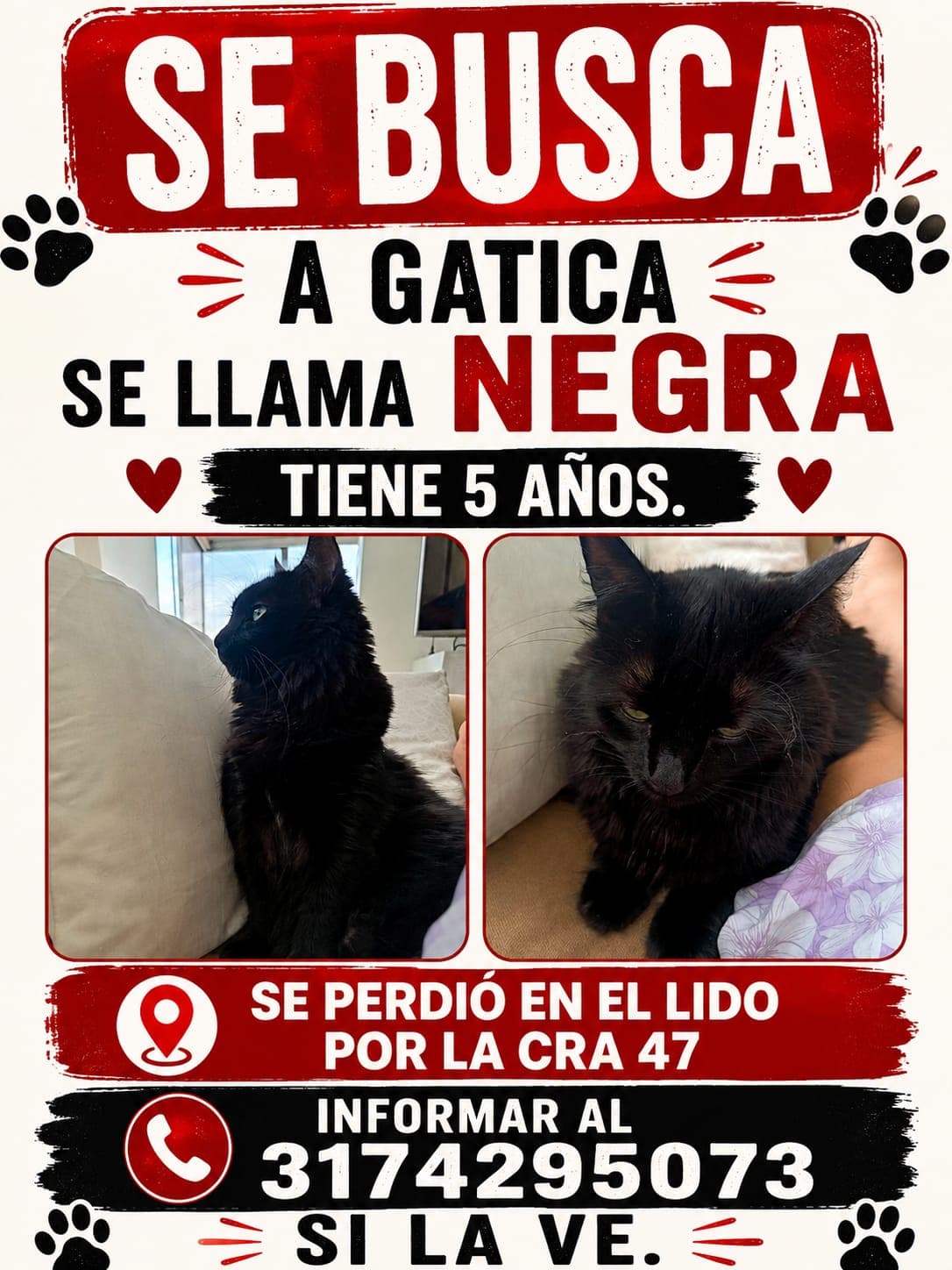 NEGRA · Gato negro