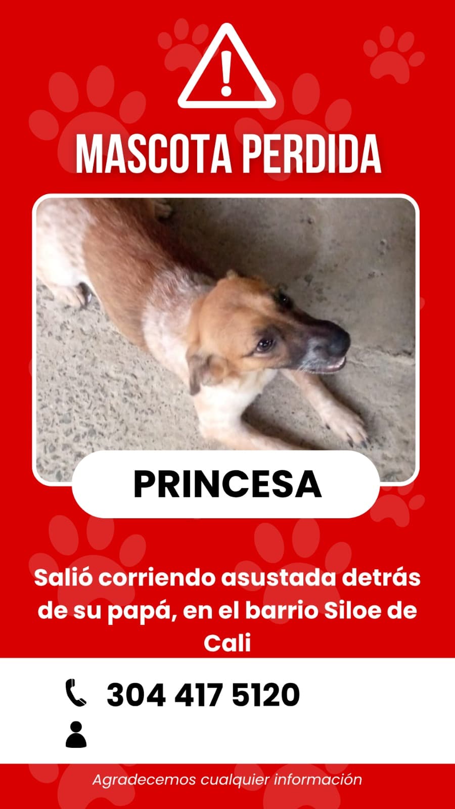 PRINCESA · Perro marrón