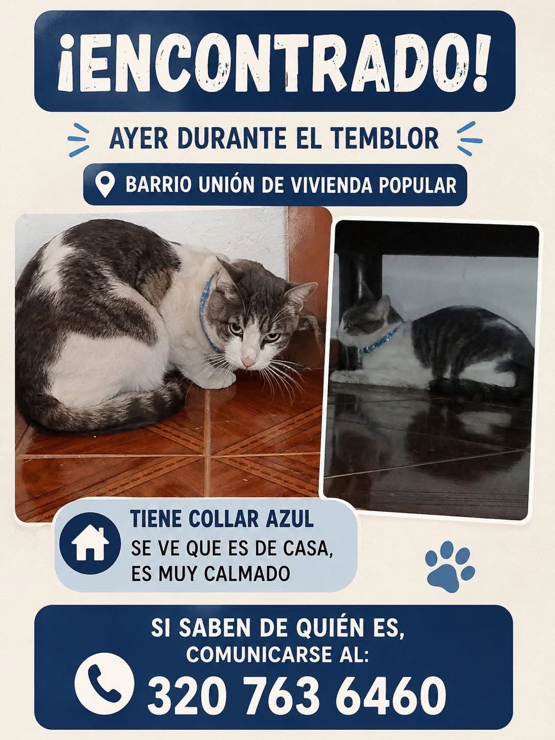 UNION DE VIVIENDA POPULAR · Gato blanco