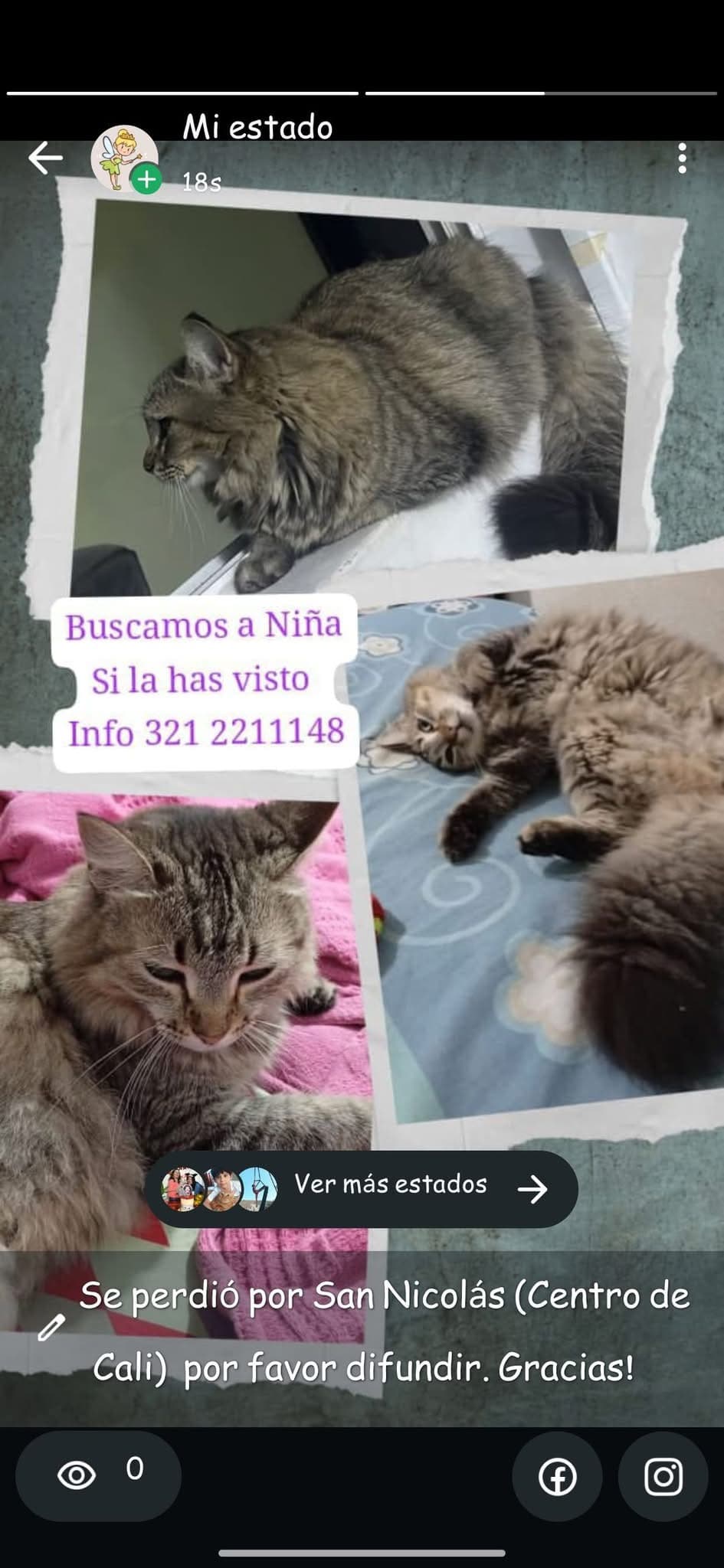 Niña · Gato gris