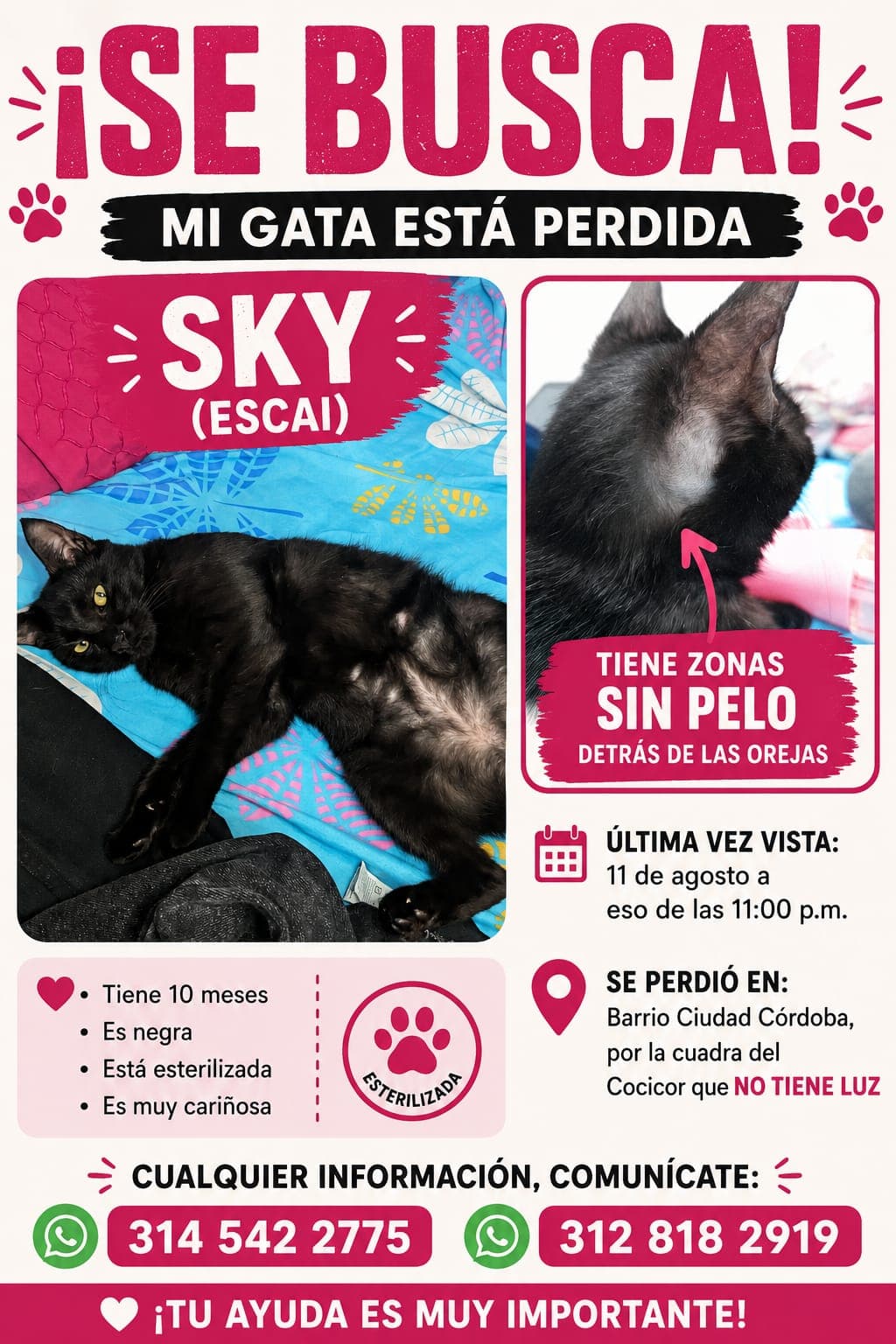 SKY · Gato negra