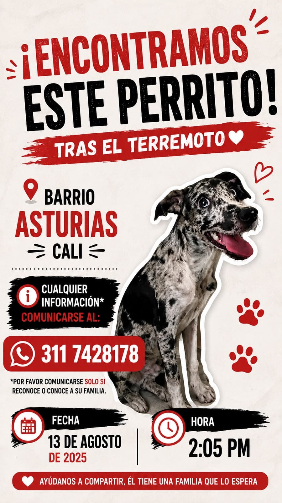 BARRIO ASTURIAS · Perro blanco