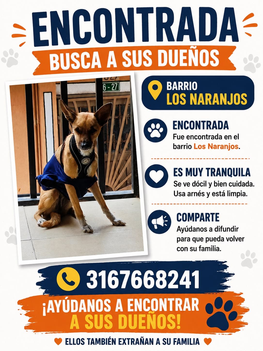 BARRIO LOS NARANJOS · Perro pequeño, marrón