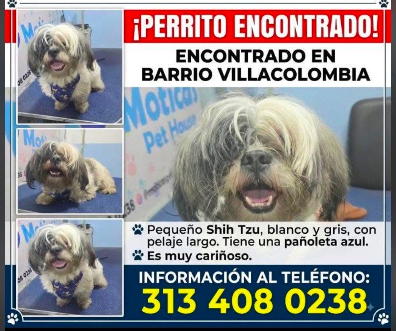 BARRIO VILLACOLOMBIA · Perro pequeño, blanco, shih tzu