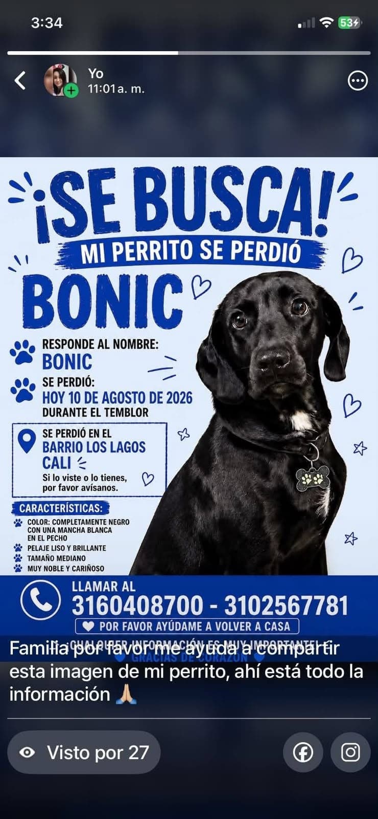 BONIC · Perro mediano, negro