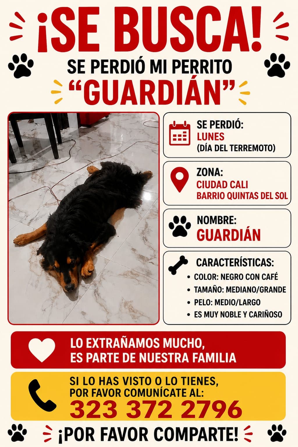 GUARDIÁN · Perro mediano, negro