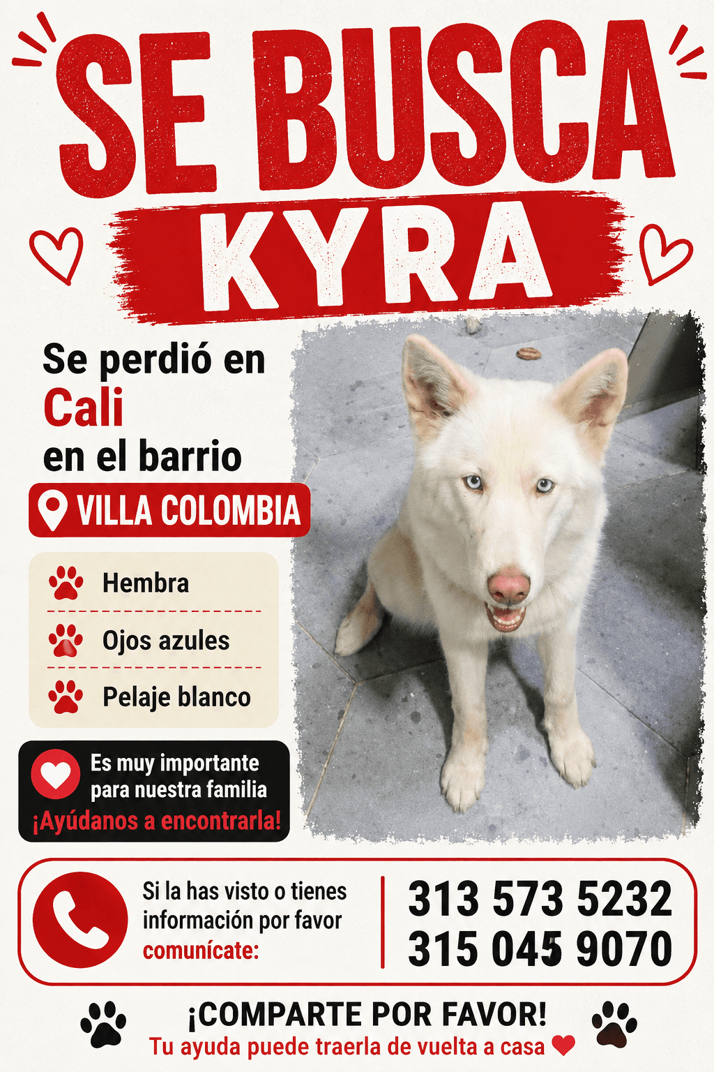 KYRA · Perro blanco