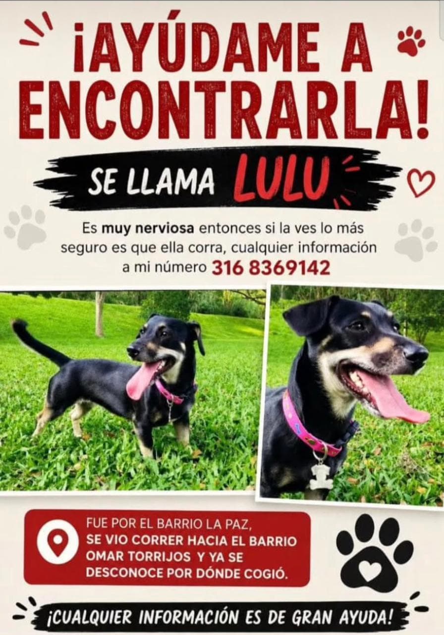 LULU · Perro negro