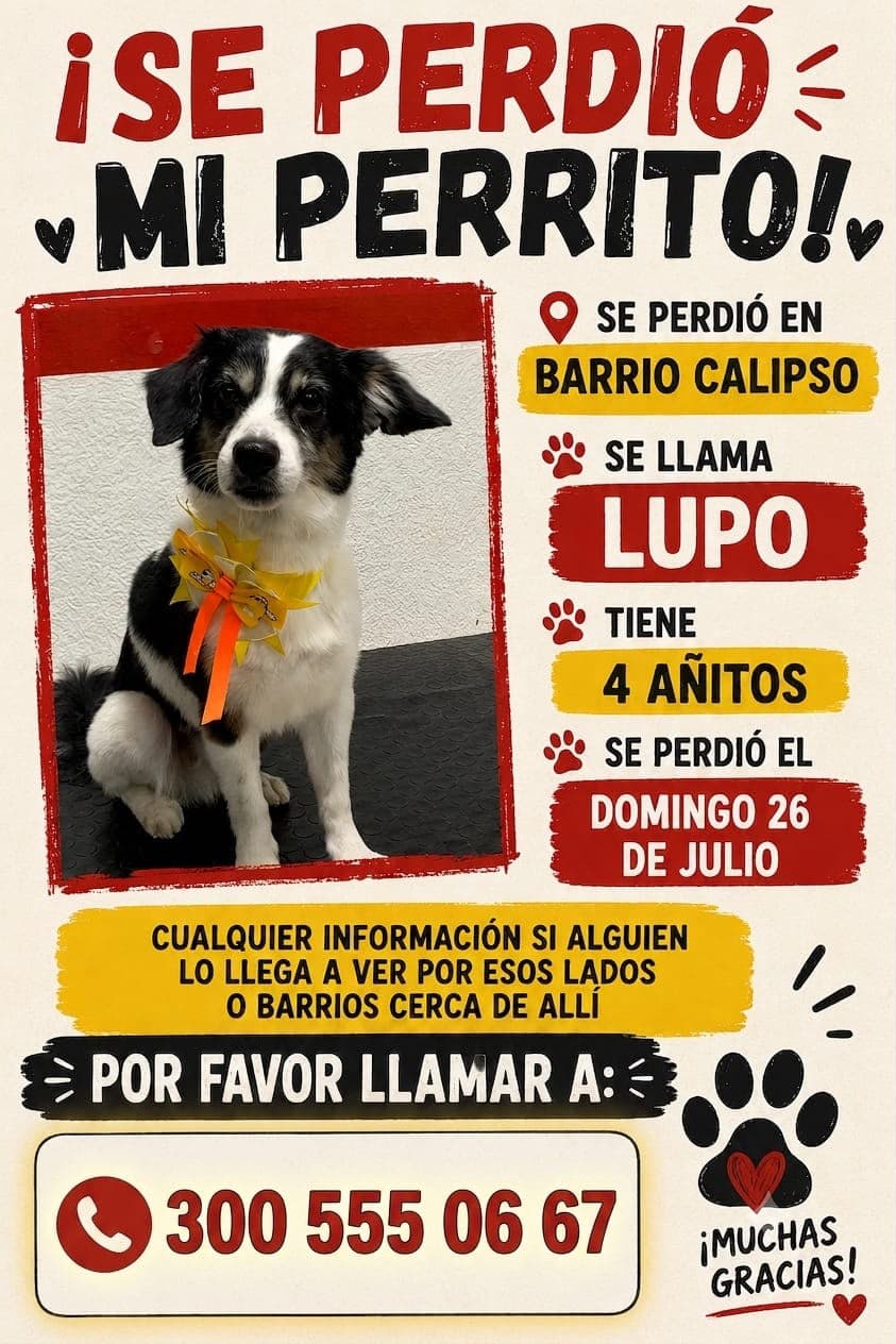 LUPO · Perro blanco