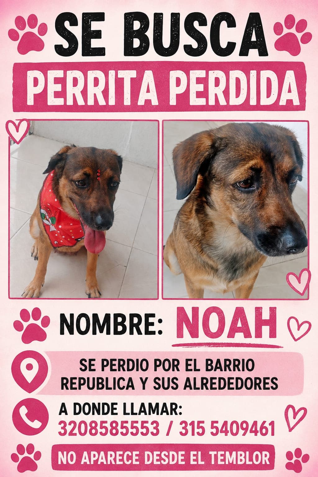 Perro marrón