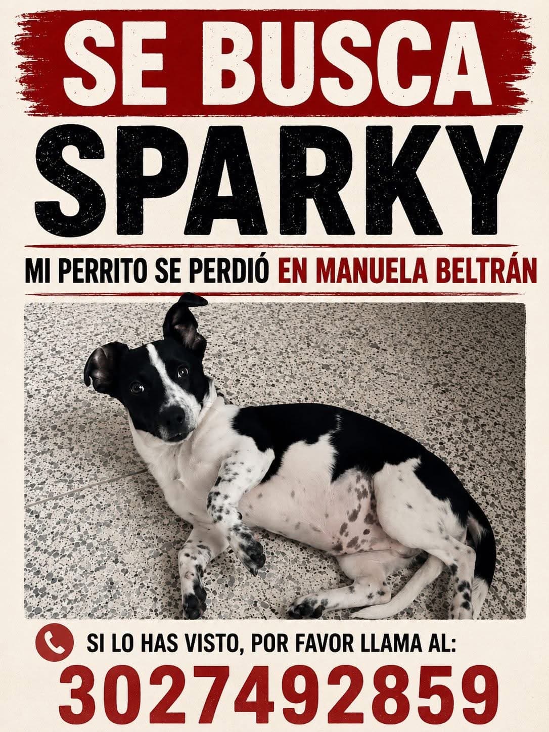 Perro blanco