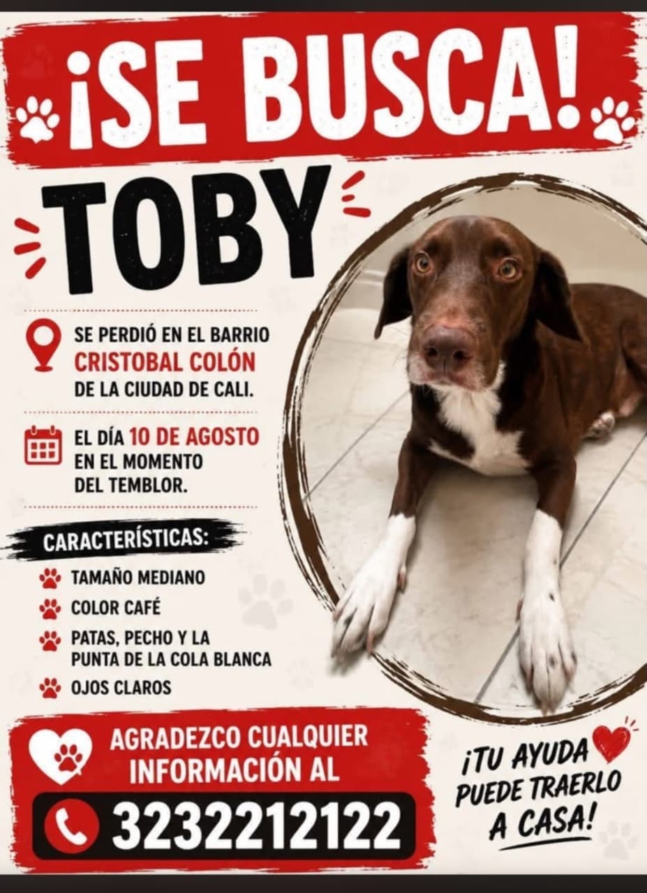 Perro mediano, café