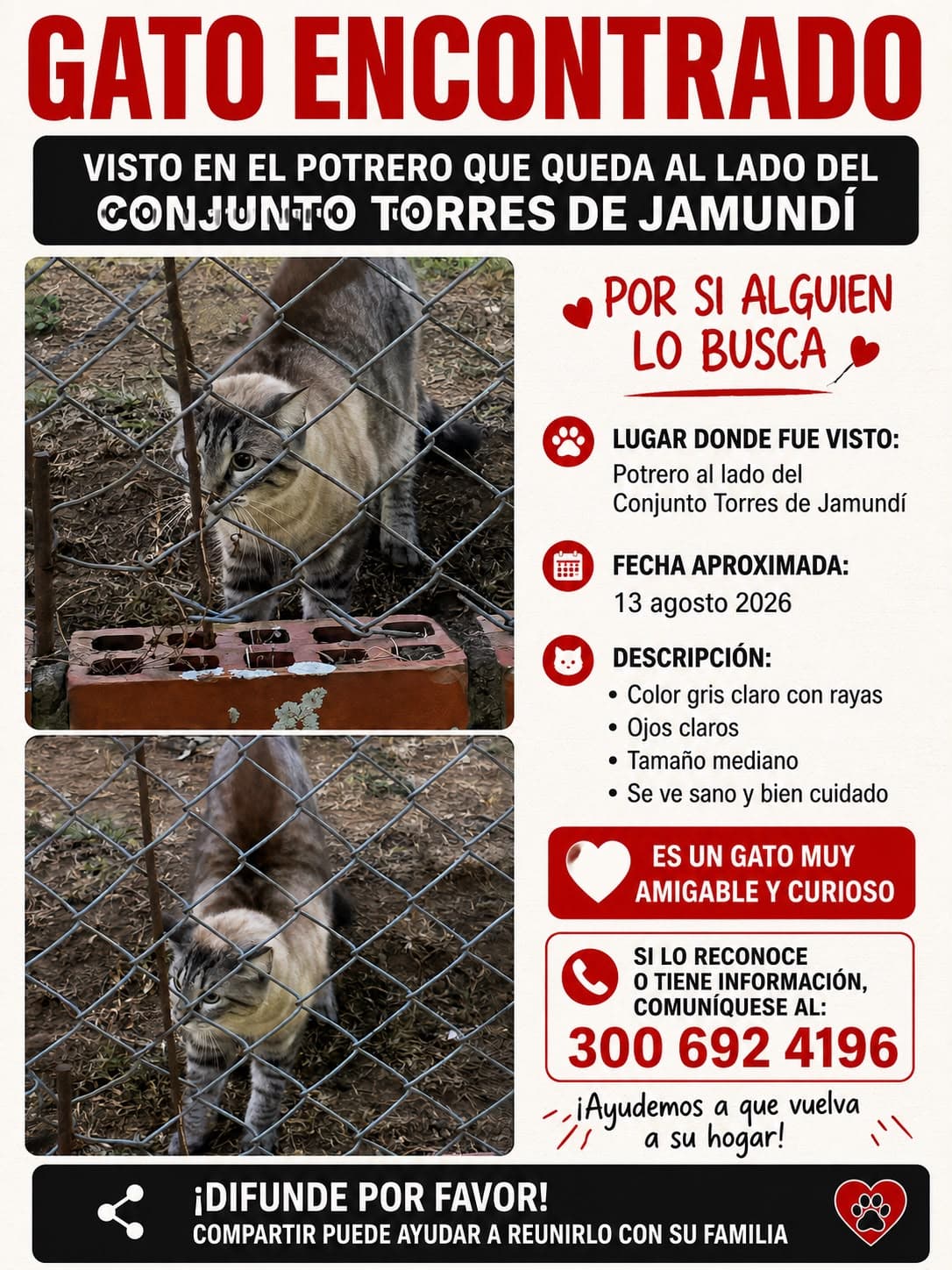 CONJUNTO TORRES DE JAMUNDÍ · Gato mediano, gris claro