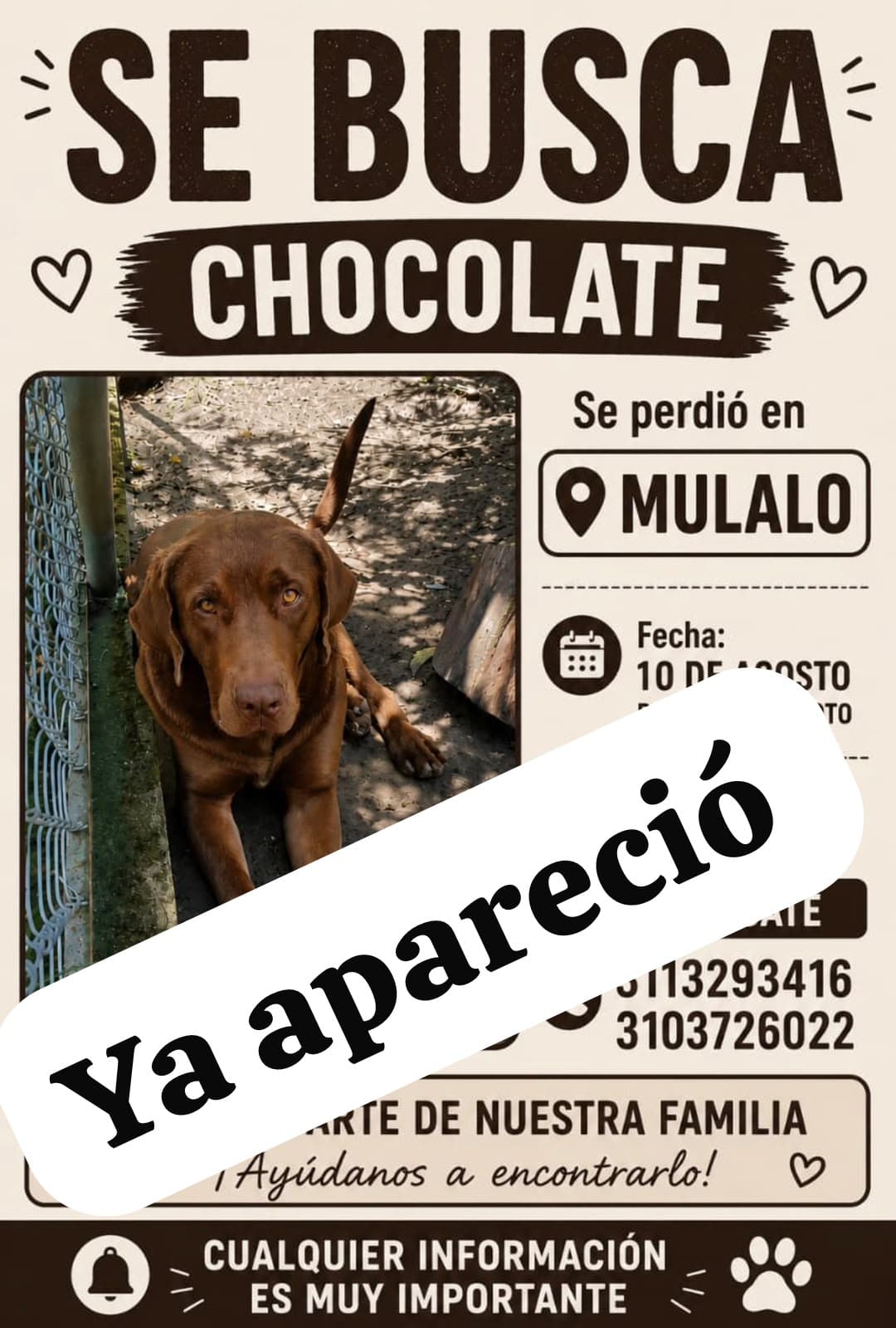Perro grande, marrón