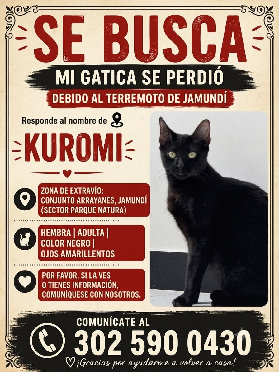 Gato negro