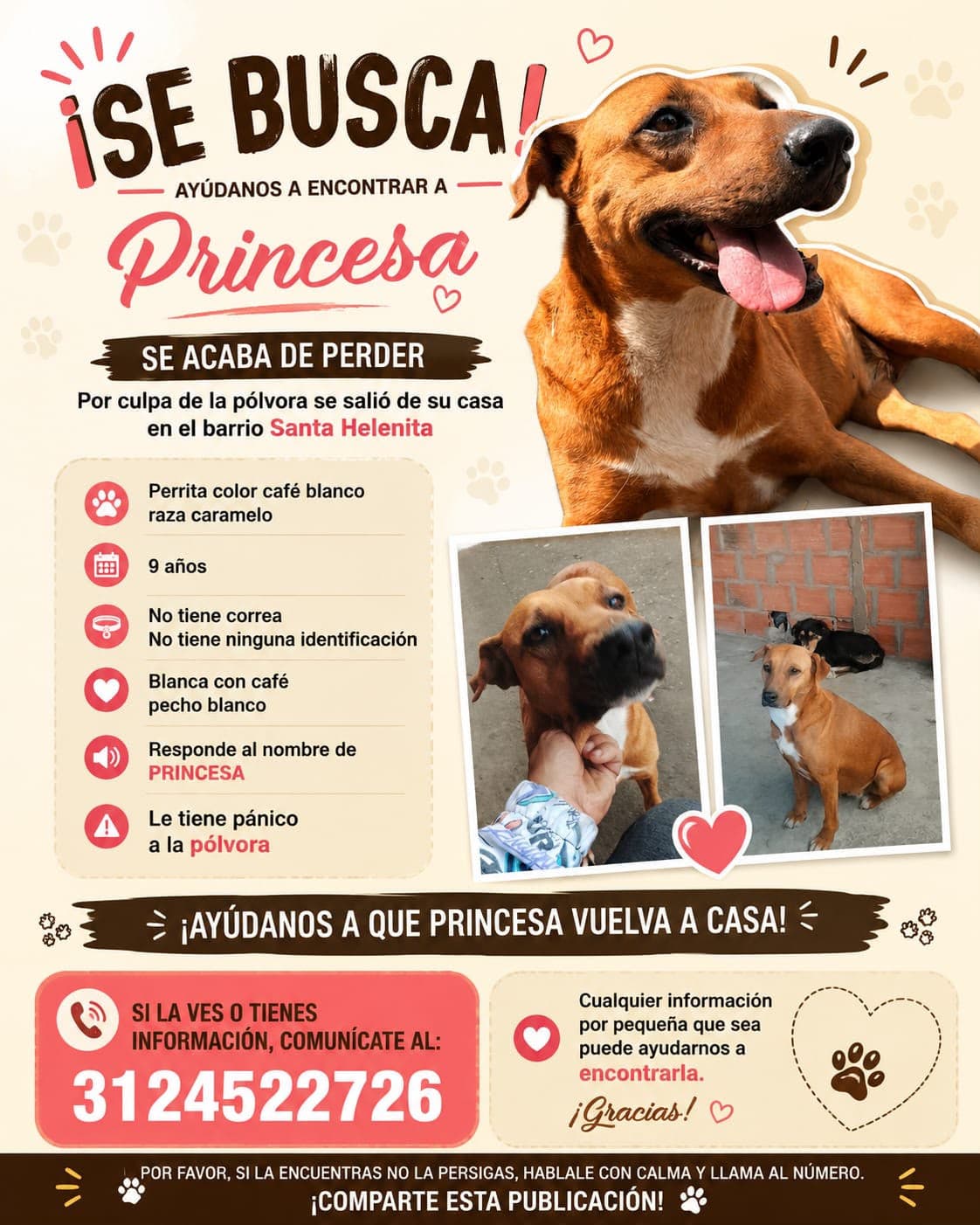 Princesa · Perro café, caramelo