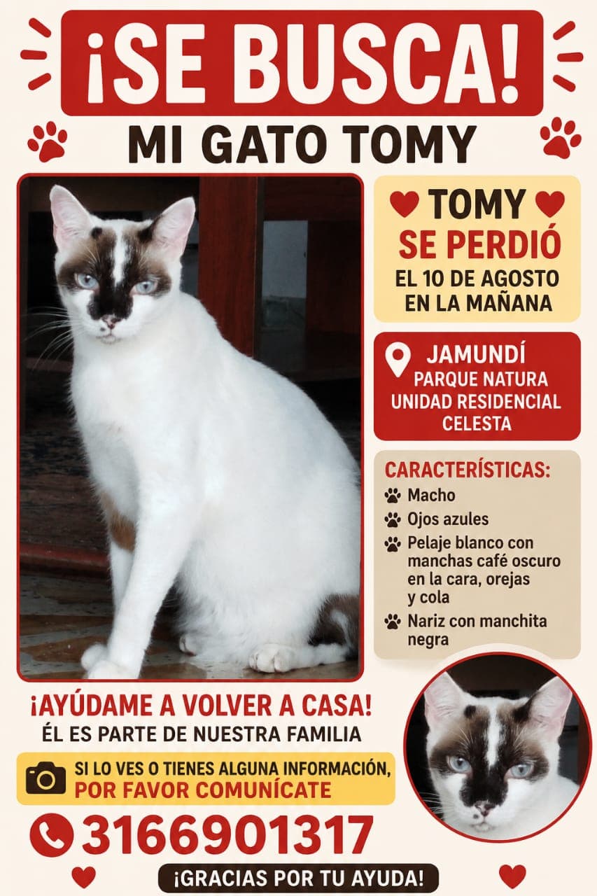 TOMY · Gato blanco