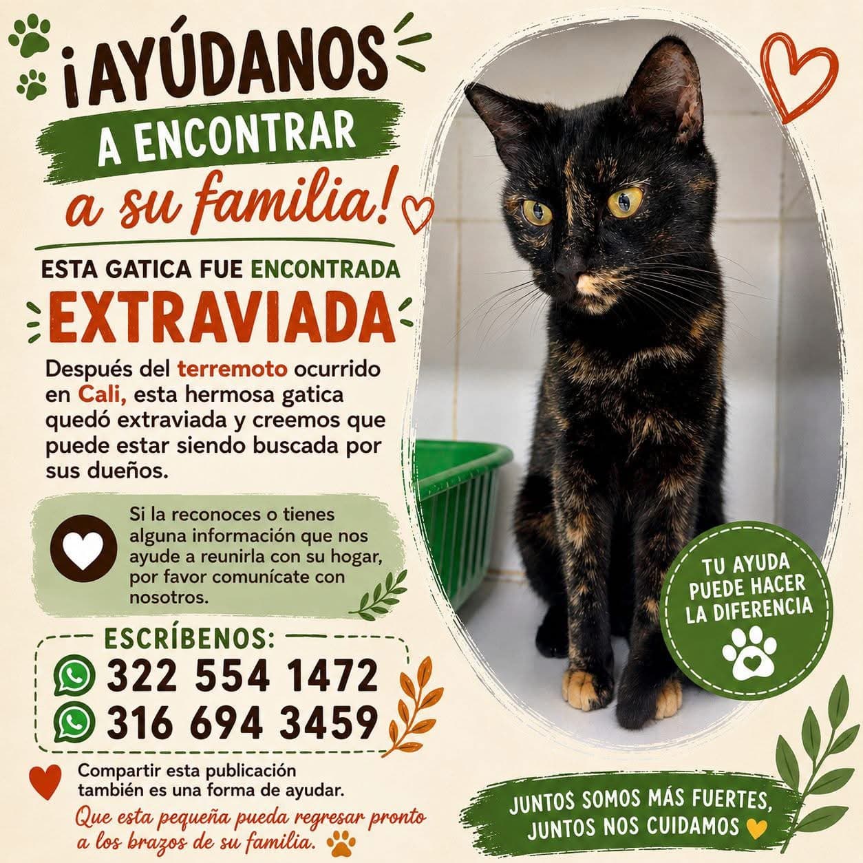GATA NEGRA CON CAFÉ · Gato negro
