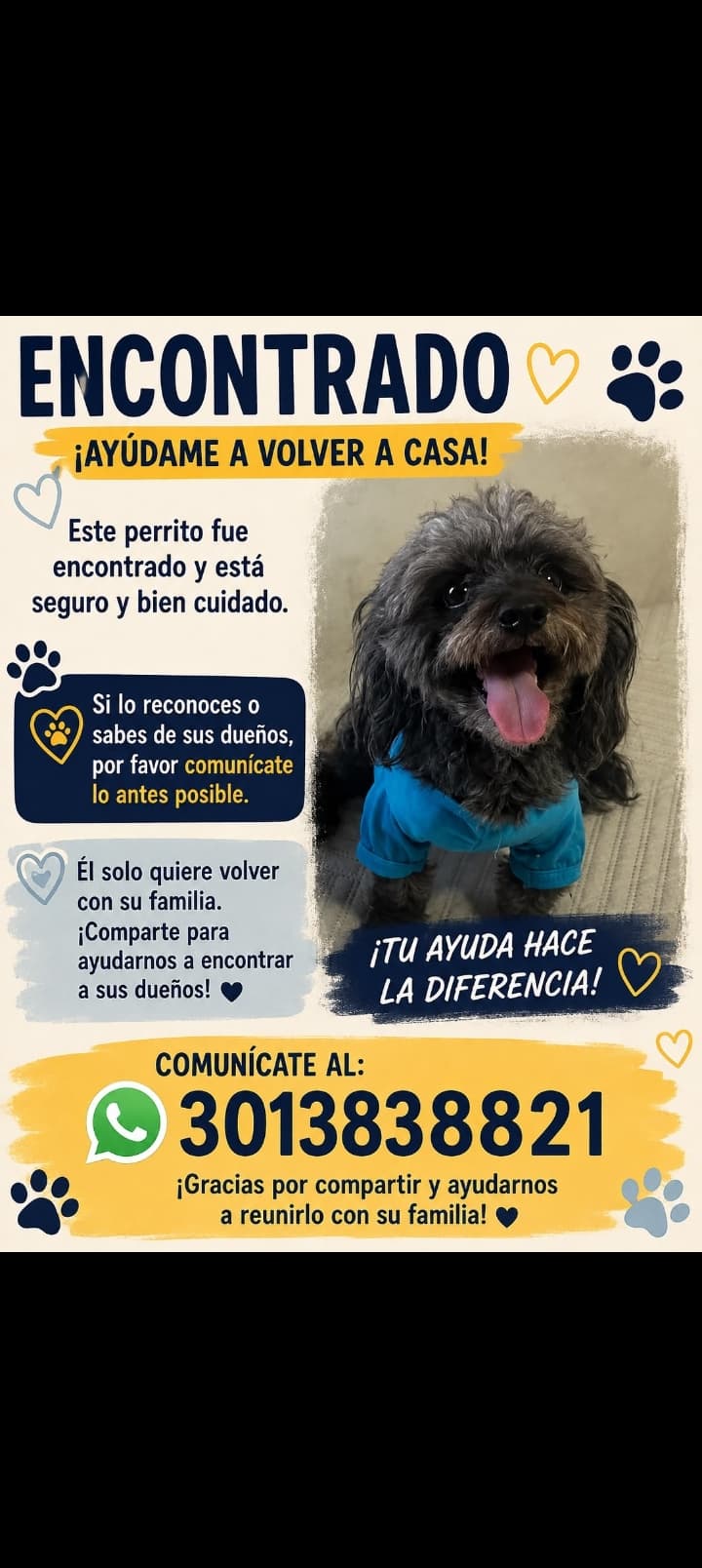 PERRITO GRIS · Perro negro