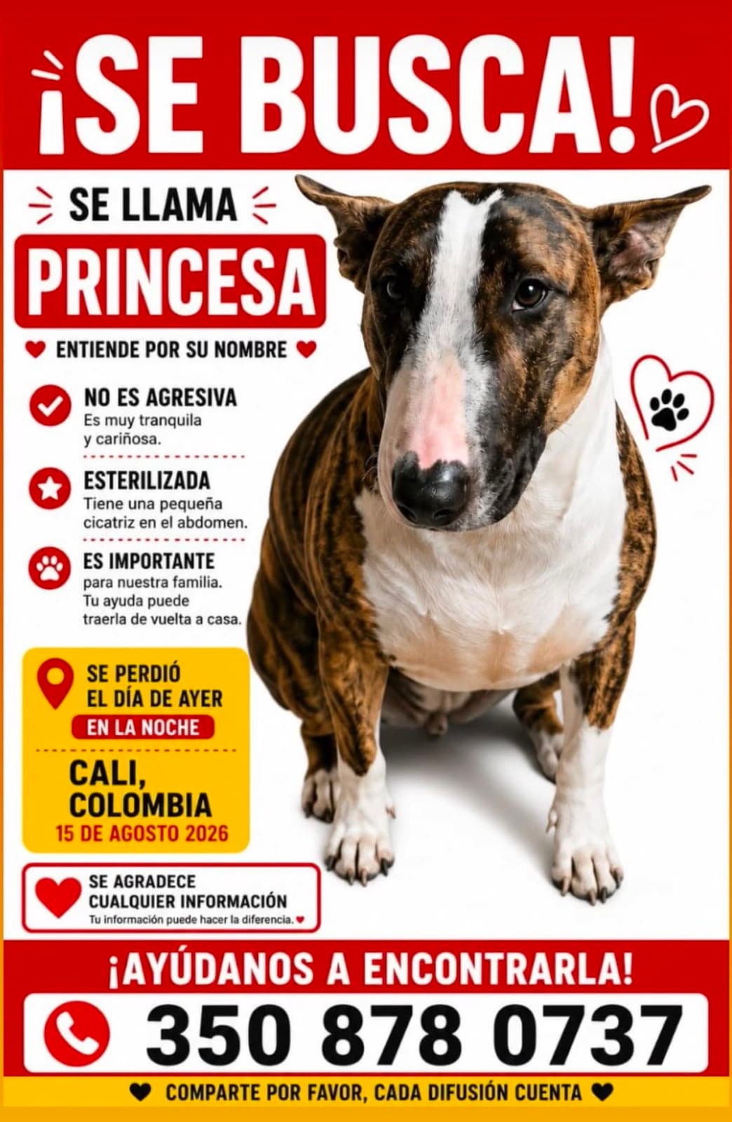 PRINCESA · Perro atigrado, bull terrier